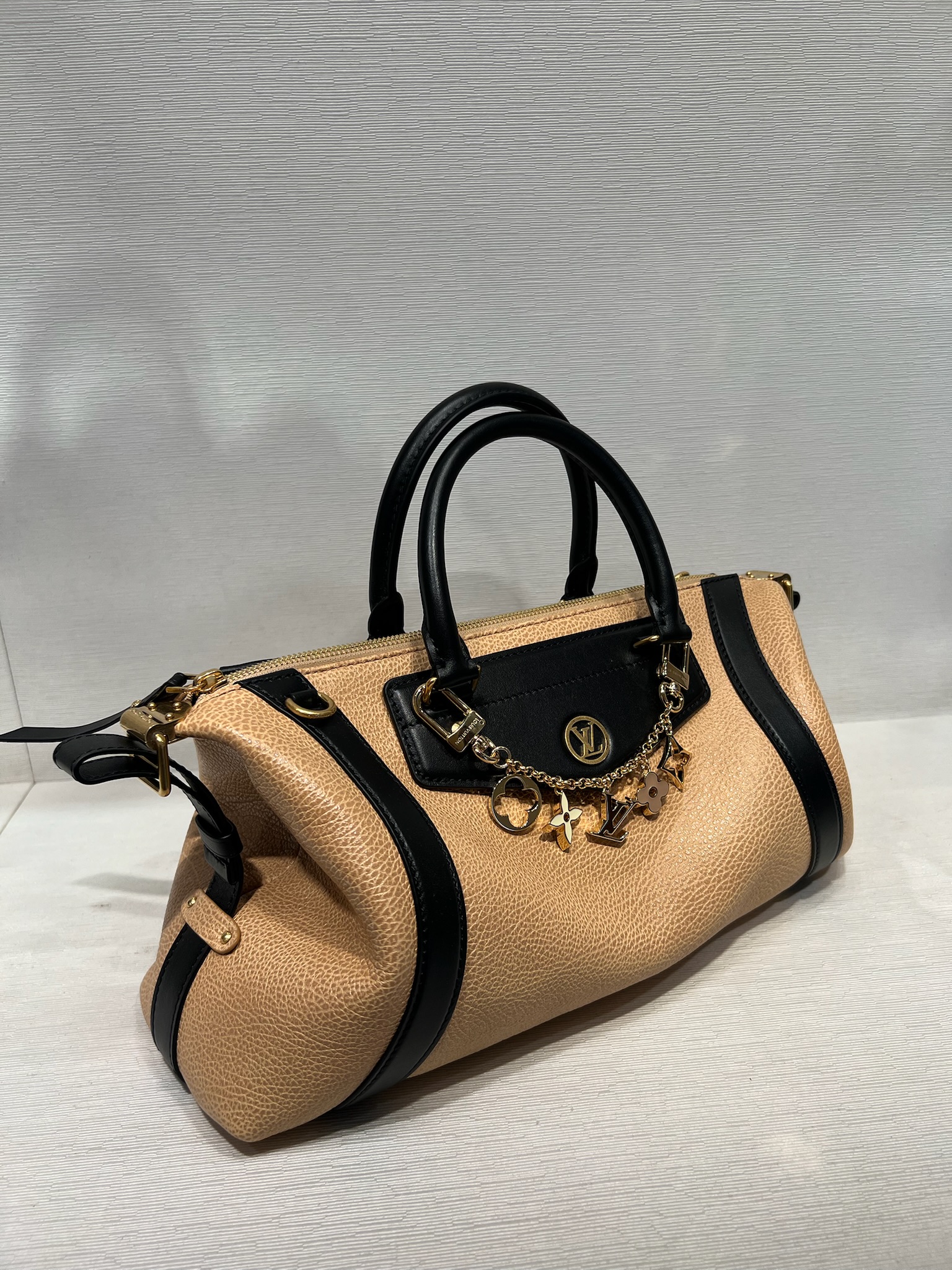 LV Biker MM Louis Vuitton